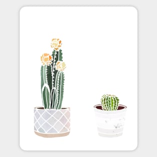 Cacti Magnet